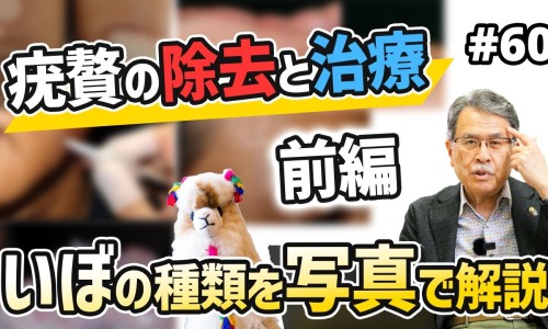 韩国美迪菲一段二段三段区别网 :分享美迪菲是进口的吗-韩国美迪菲一段二段三段区别大吗知识